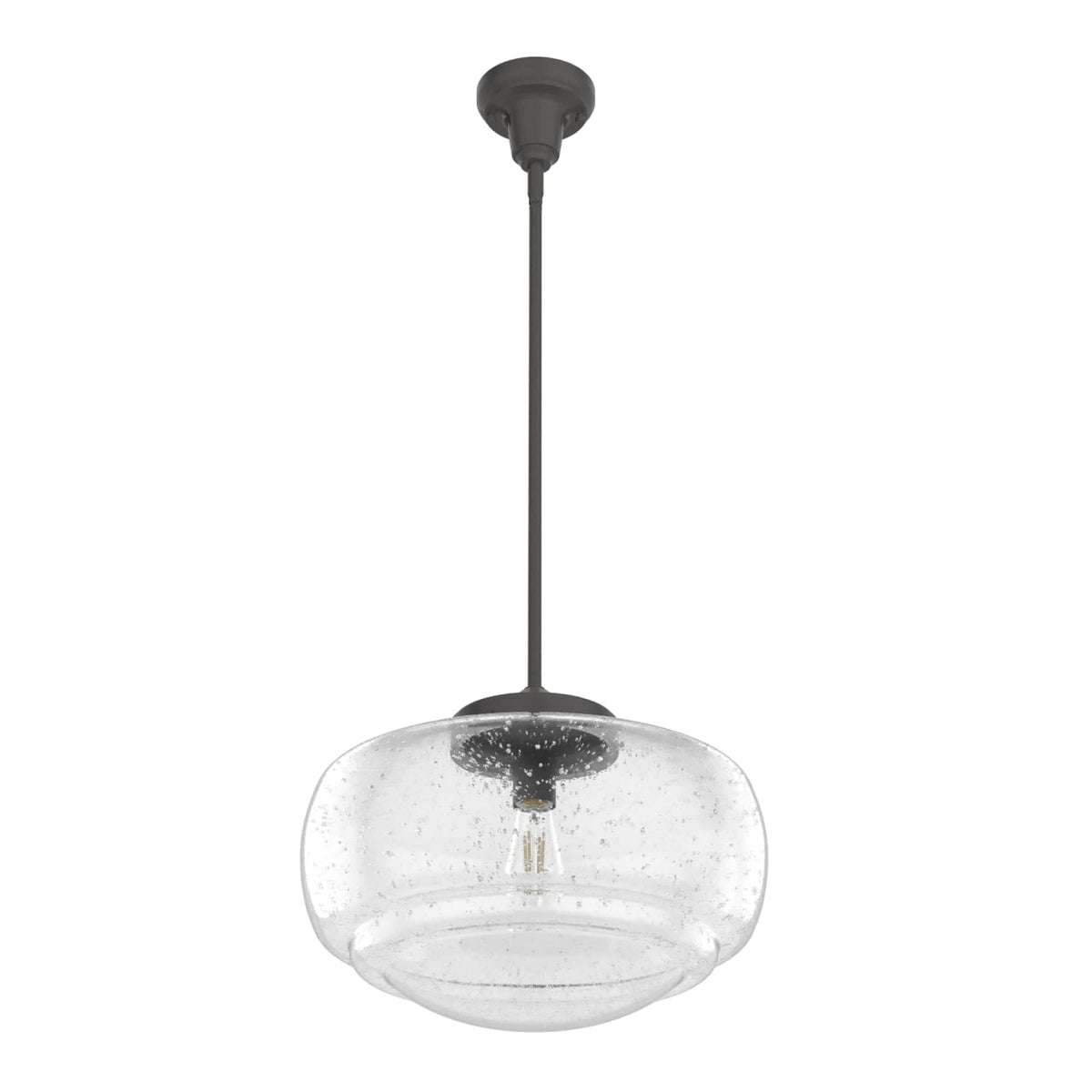 Saddle Creek Clear Seeded Glass 1 Light 16 Inch Pendant