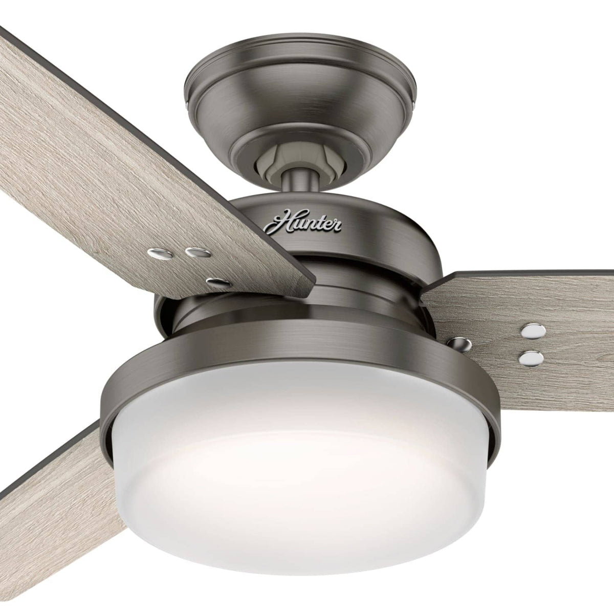 Sentinel with LED Light 44 inch
