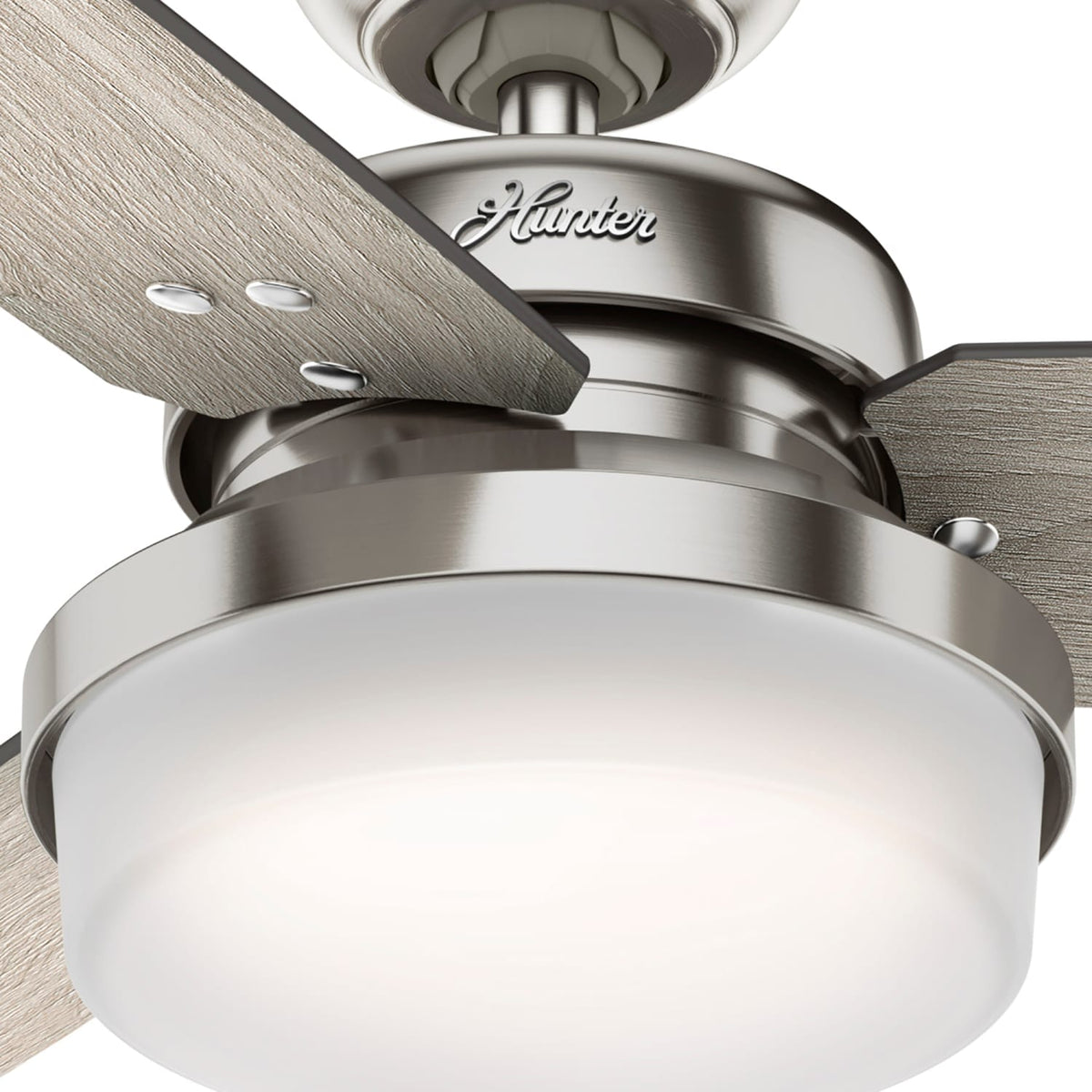 Sentinel with LED Light 44 inch