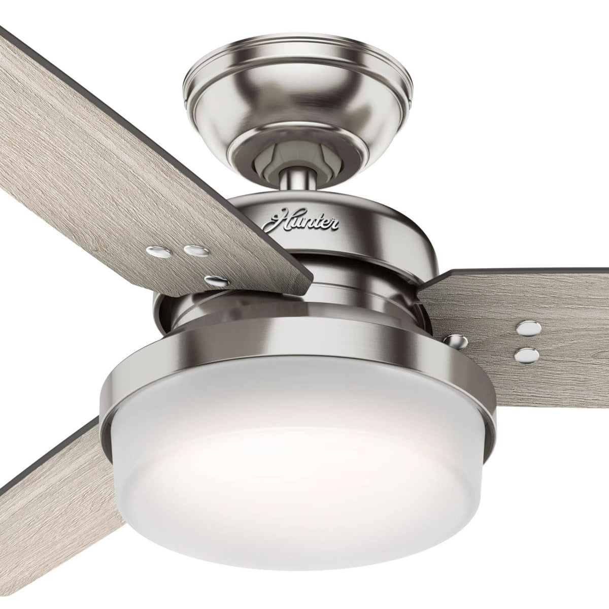 Sentinel with LED Light 44 inch