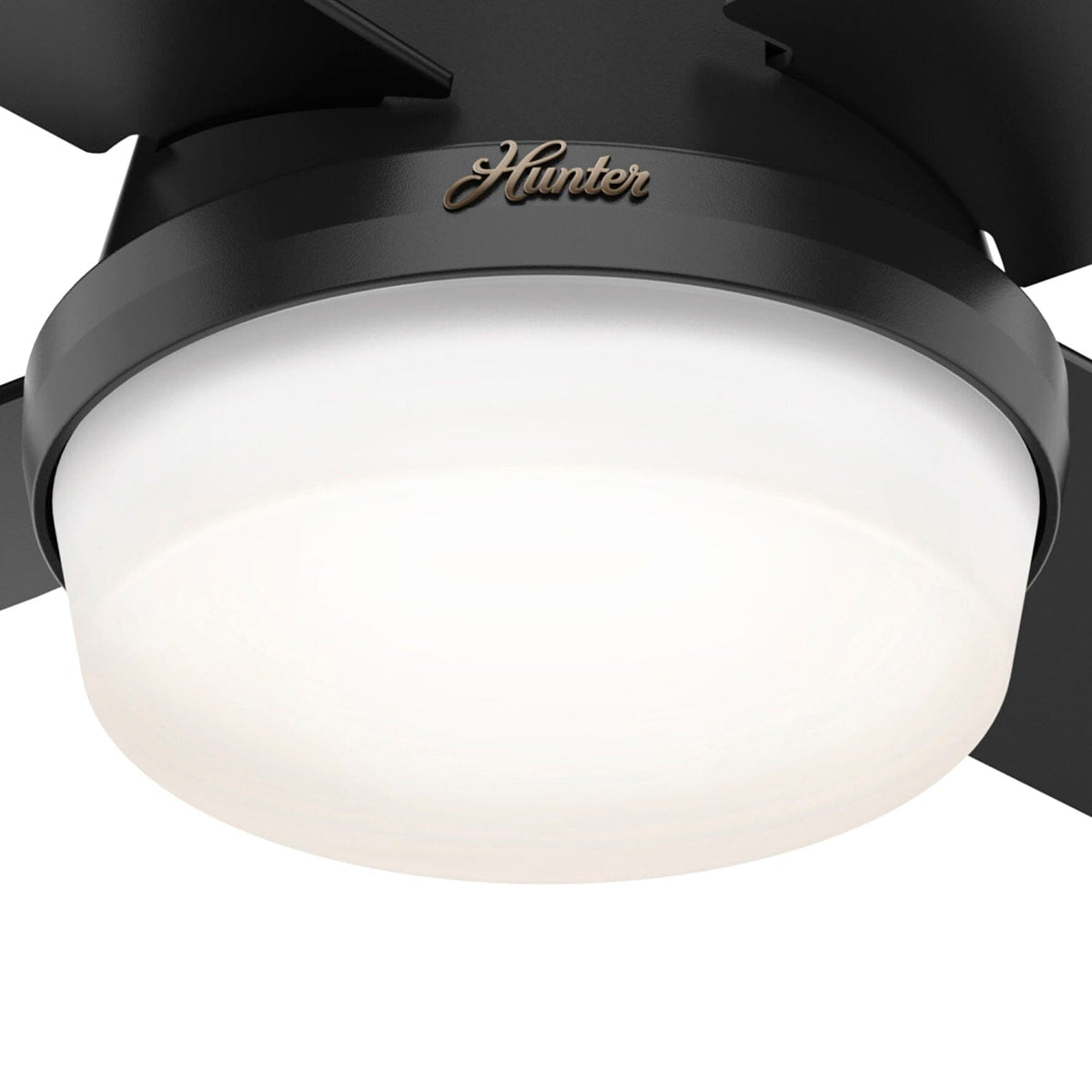 Dempsey Low Profile Outdoor with LED Light 44 inch