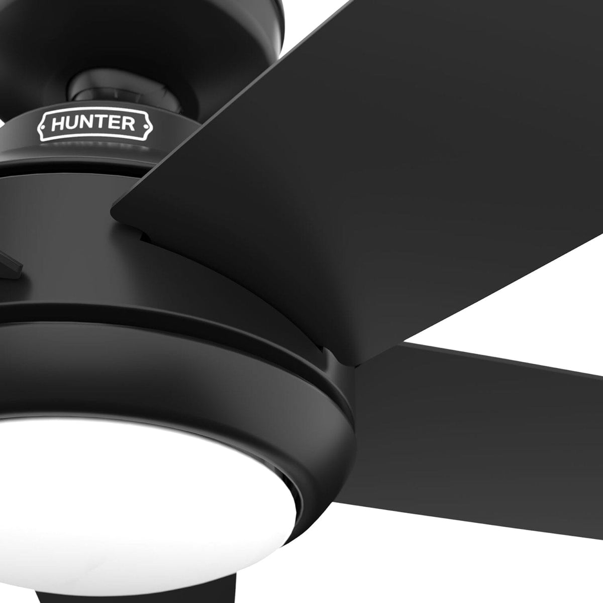 Zayden with LED Light - 52 inch