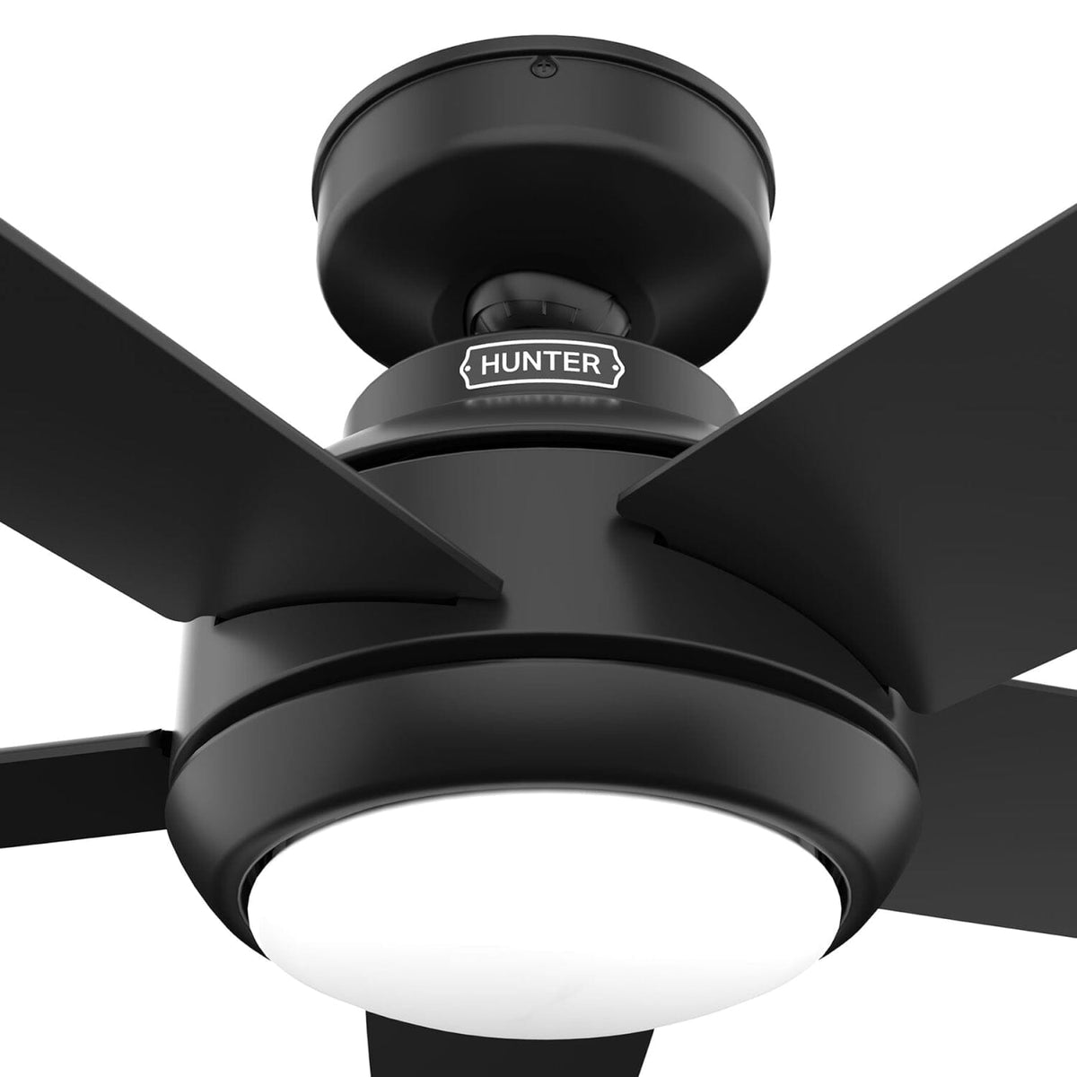 Zayden with LED Light - 52 inch