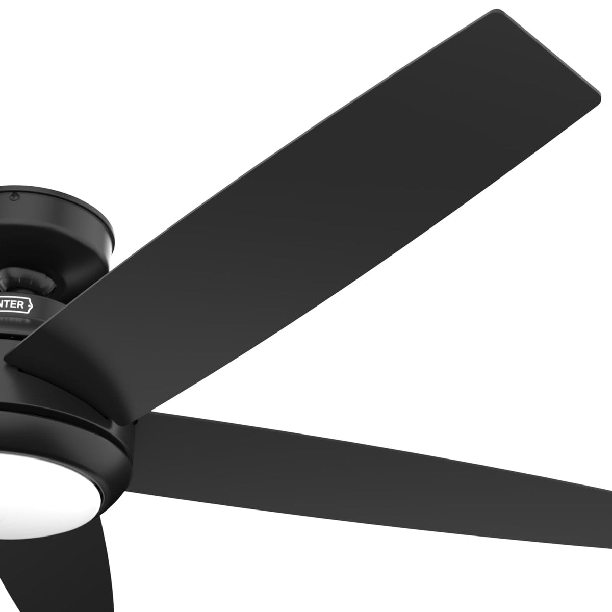 Zayden with LED Light - 52 inch