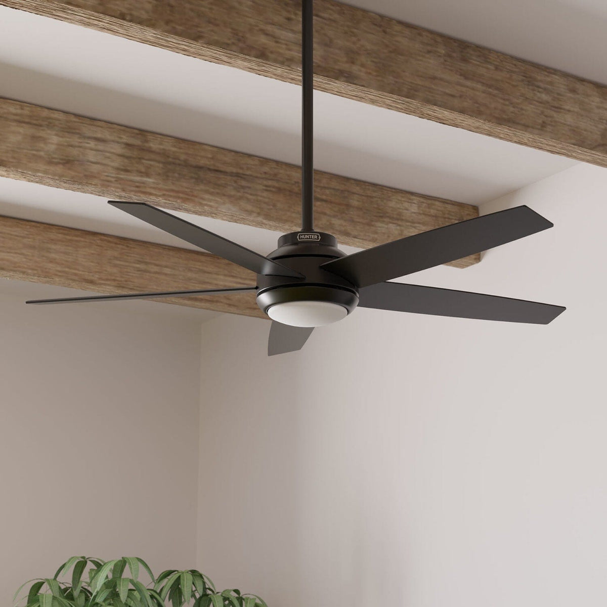 Zayden with LED Light - 52 inch