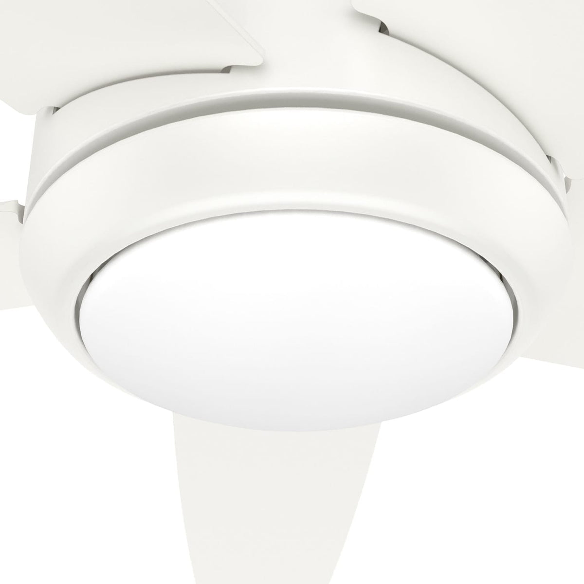 Zayden with LED Light - 52 inch