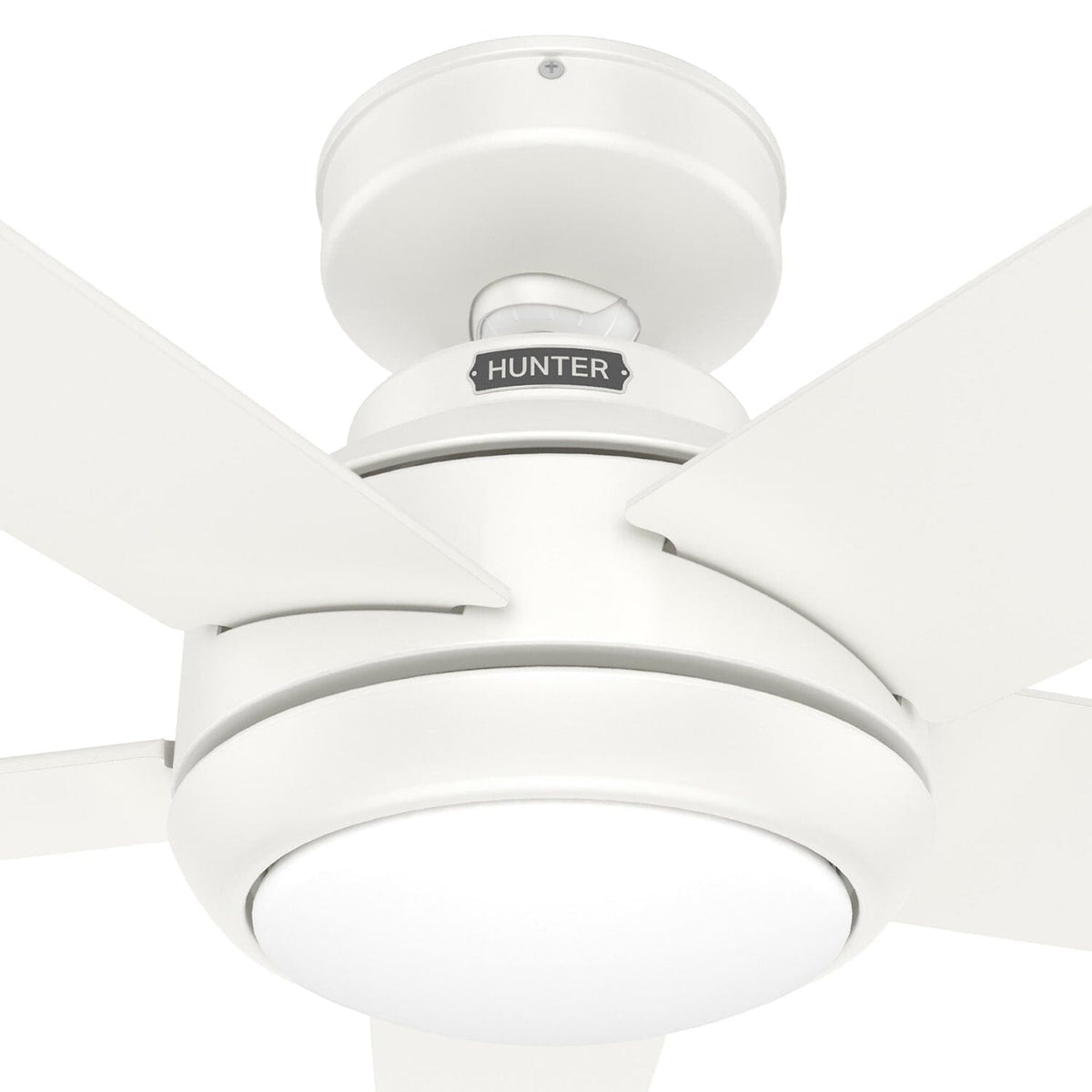 Zayden with LED Light - 52 inch