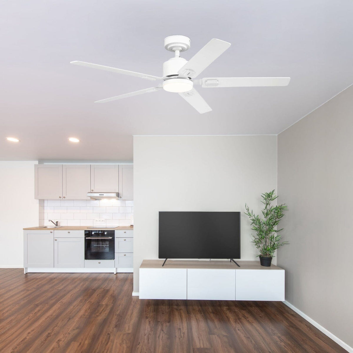 Eleve Comfort 5 Blade Indoor 52 inch M5