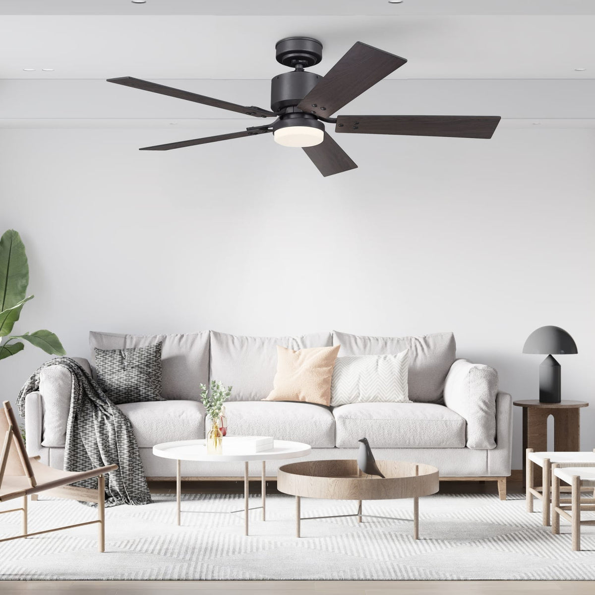 Eleve Comfort 5 Blade Indoor 52 inch M4
