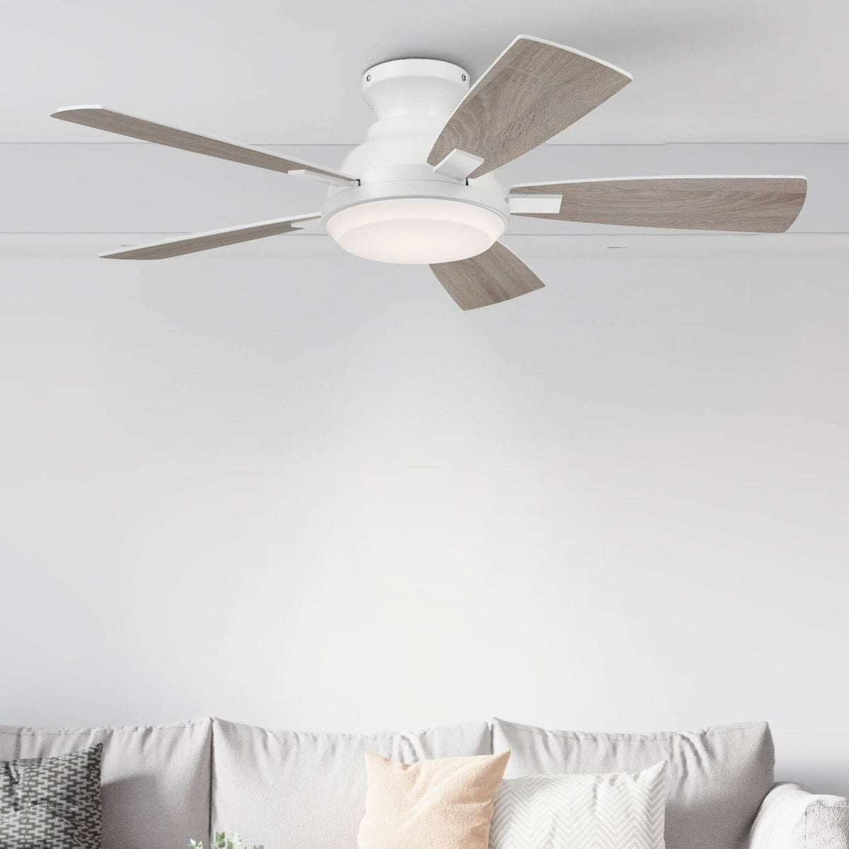 Eleve Comfort 5 Blade Indoor Low Profile 44 inch M1