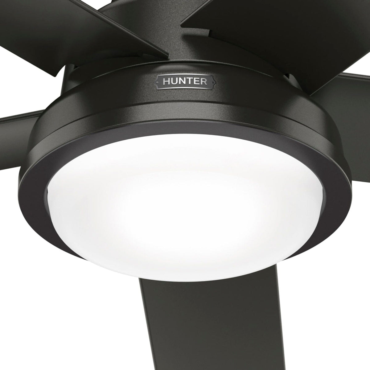 Seawall Outdoor WeatherMax with LED Light 52 inch with Wall Control