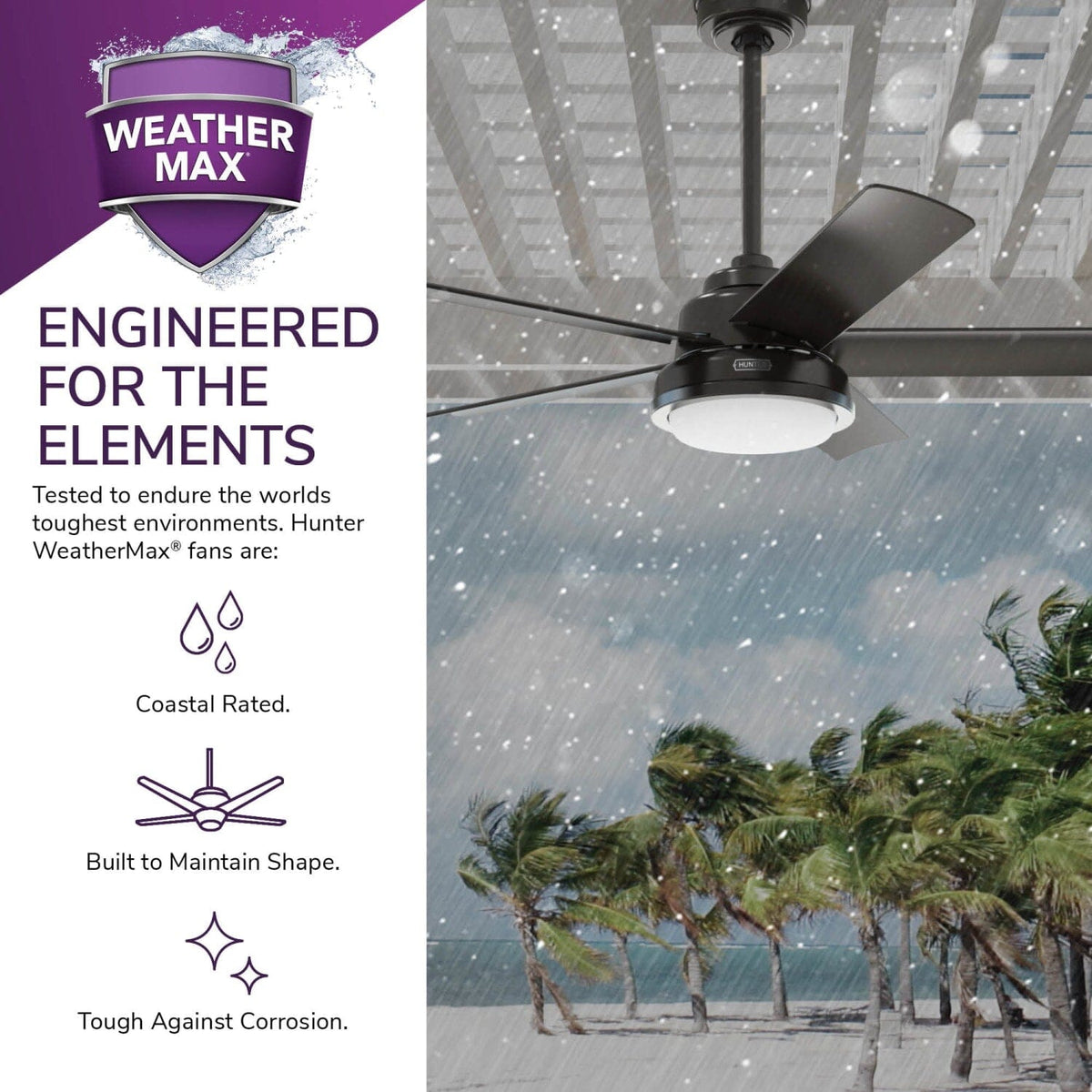 Seawall Outdoor WeatherMax with LED Light 52 inch with Wall Control