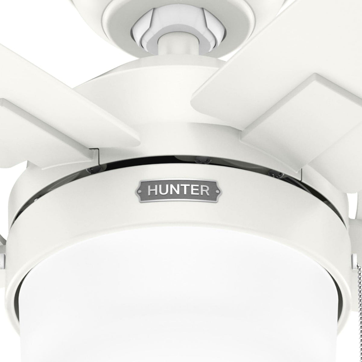 Anisten with LED Light 44 inch