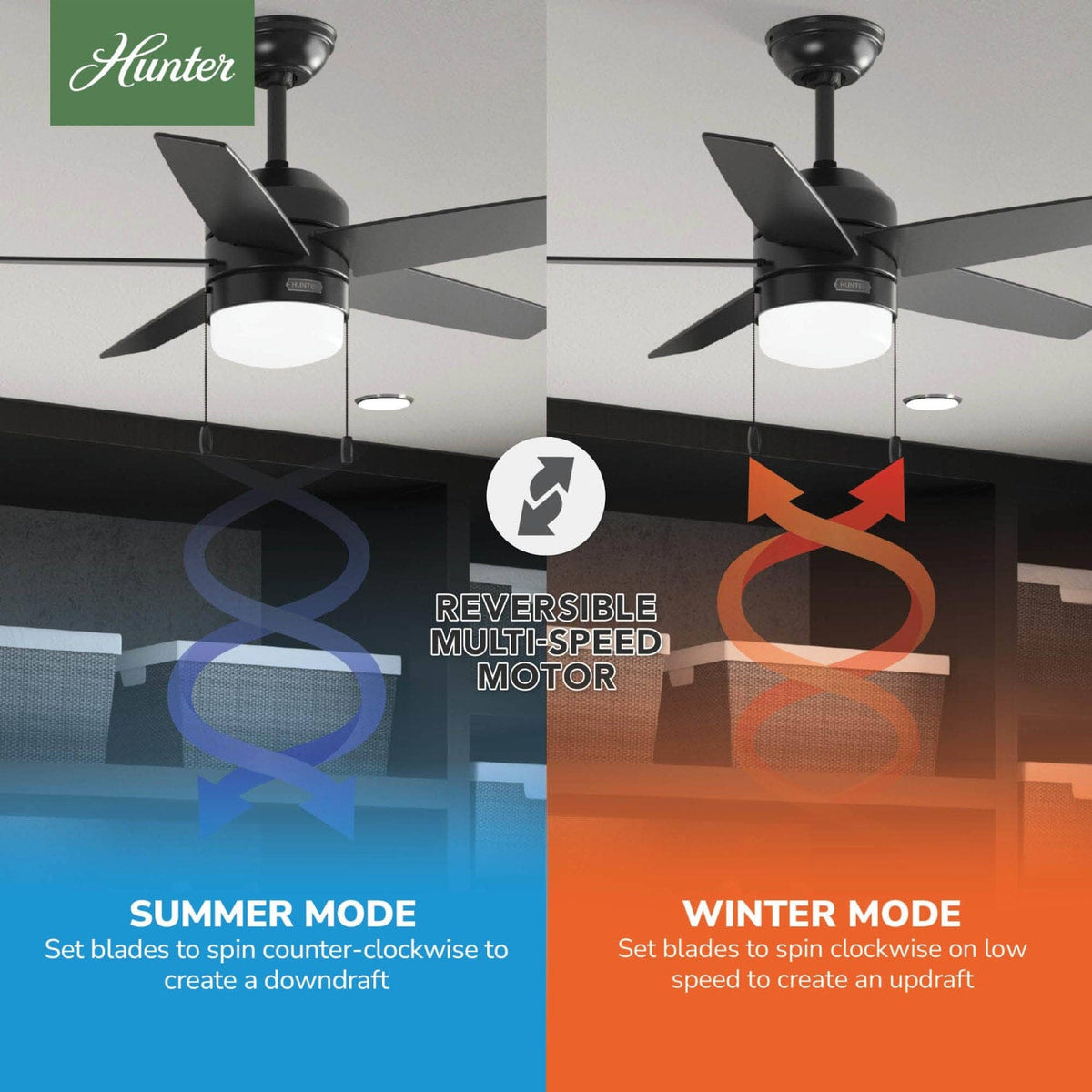Bardot LED Light 44 inch