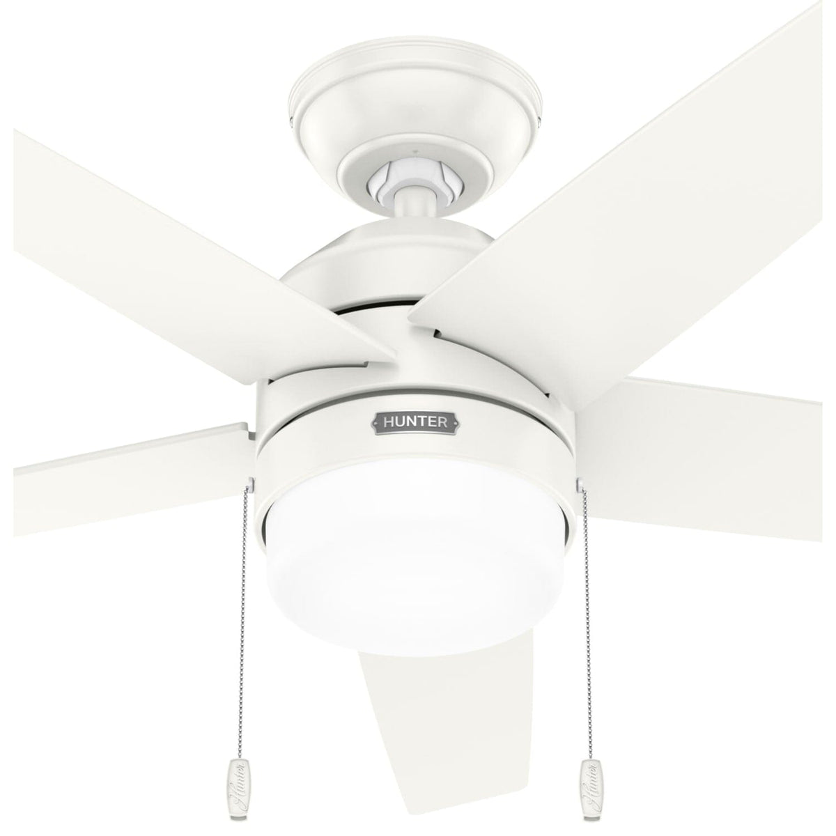Bardot LED Light 44 inch