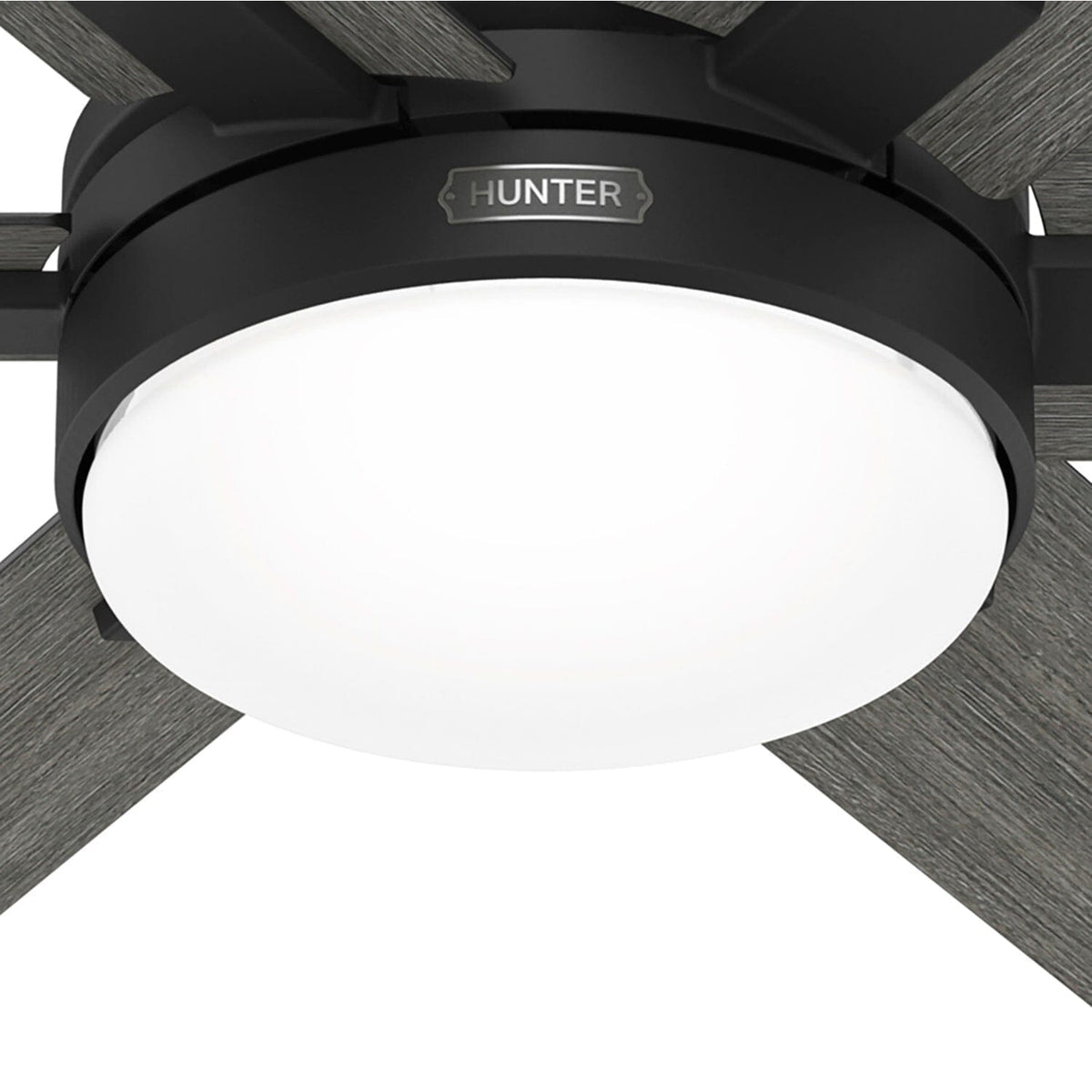 Georgetown Indoor HunterExpress with LED Light 52 inch with remote
