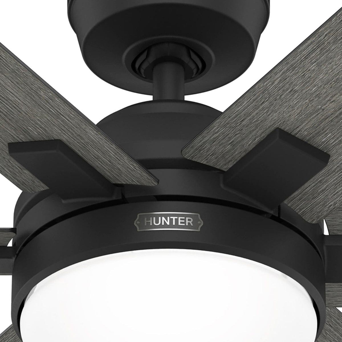 Georgetown Indoor HunterExpress with LED Light 52 inch with remote