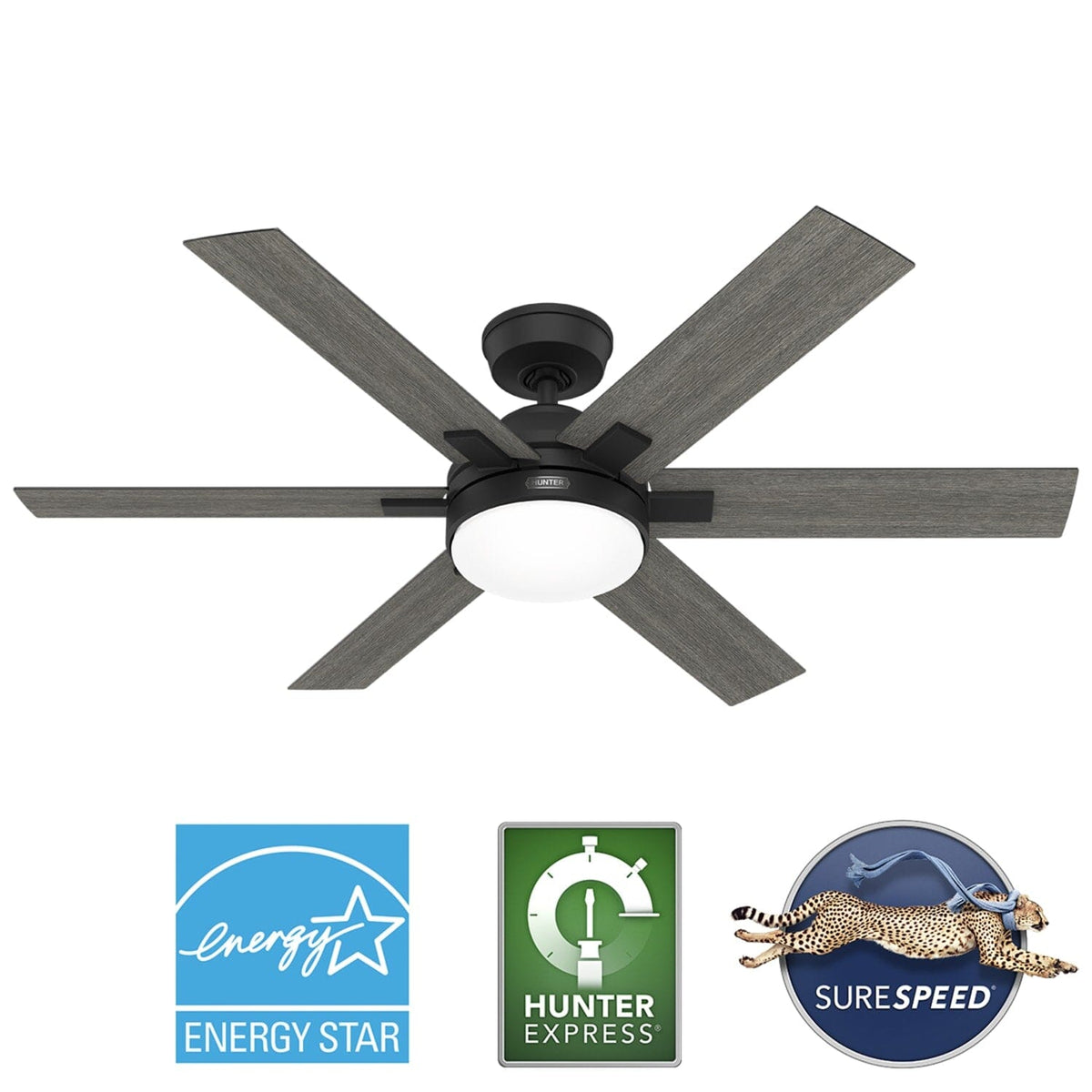 Georgetown Indoor HunterExpress with LED Light 52 inch with remote