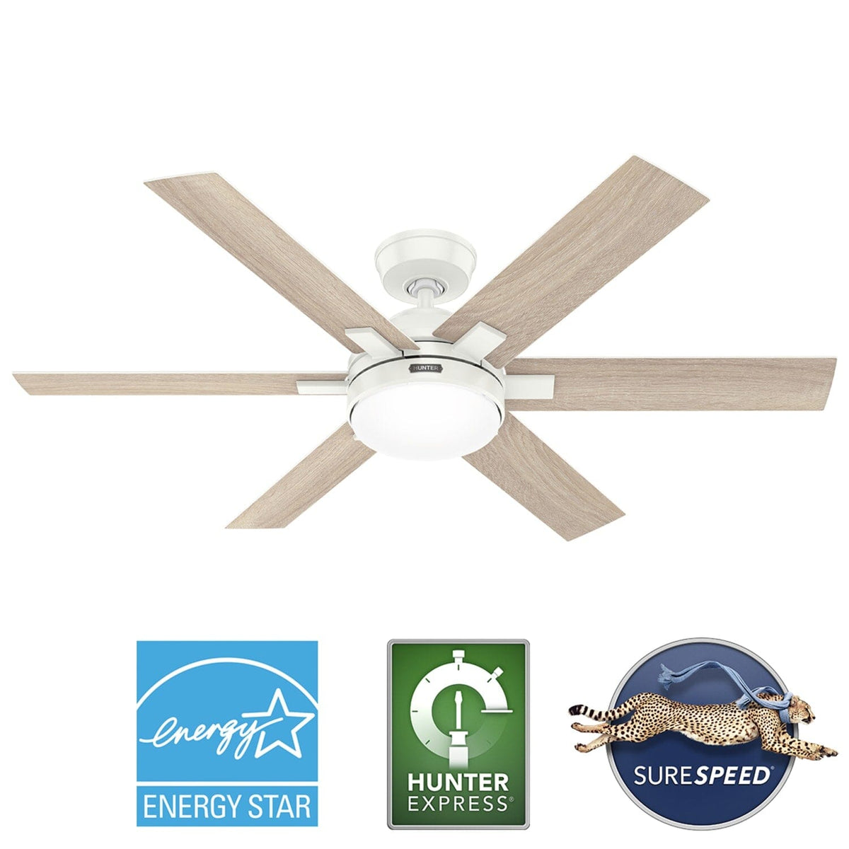 Georgetown Indoor HunterExpress with LED Light 52 inch with remote