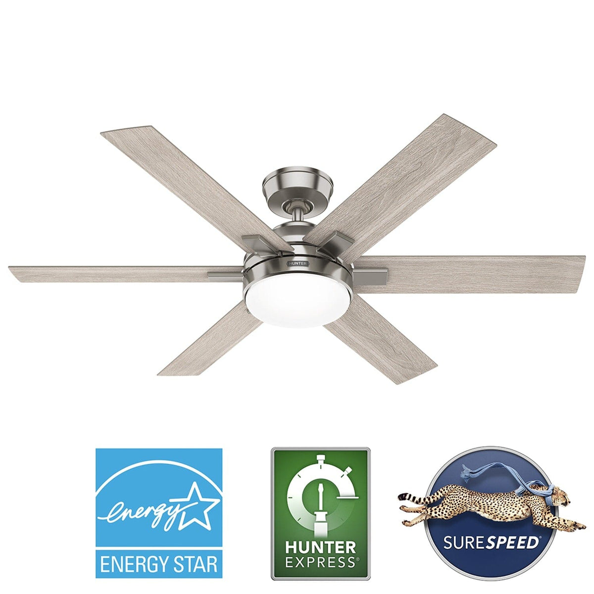 Georgetown Indoor HunterExpress with LED Light 52 inch with remote