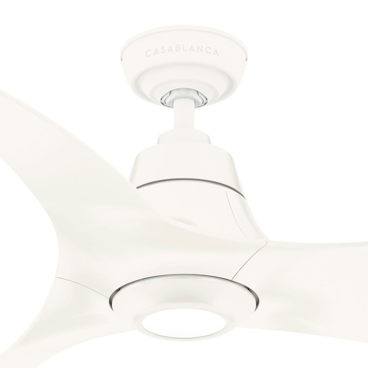 Stingray Outdoor ENERGY STAR with LED Light 60 inch with remote