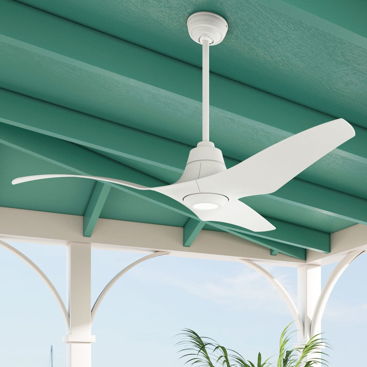 Stingray Outdoor ENERGY STAR with LED Light 60 inch with remote