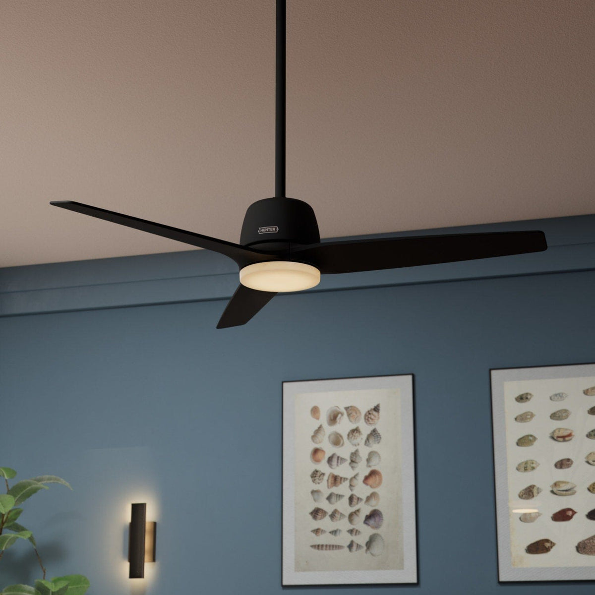 Malden Jasmine Roth Indoor 52inch with LED and Remote