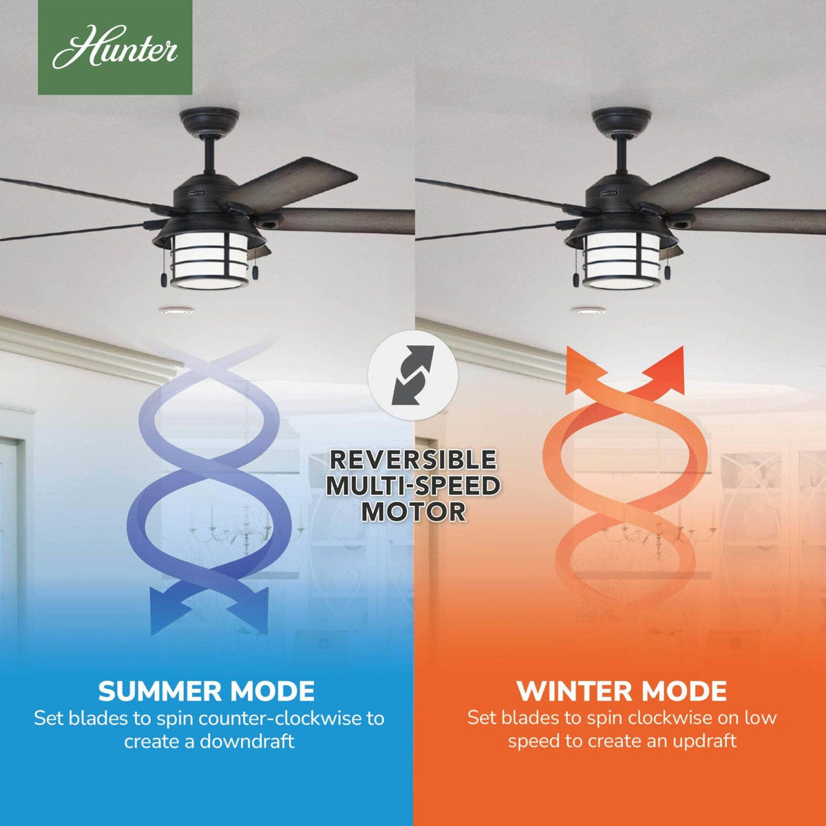 Key Biscayne Outdoor with Light 54 inch
