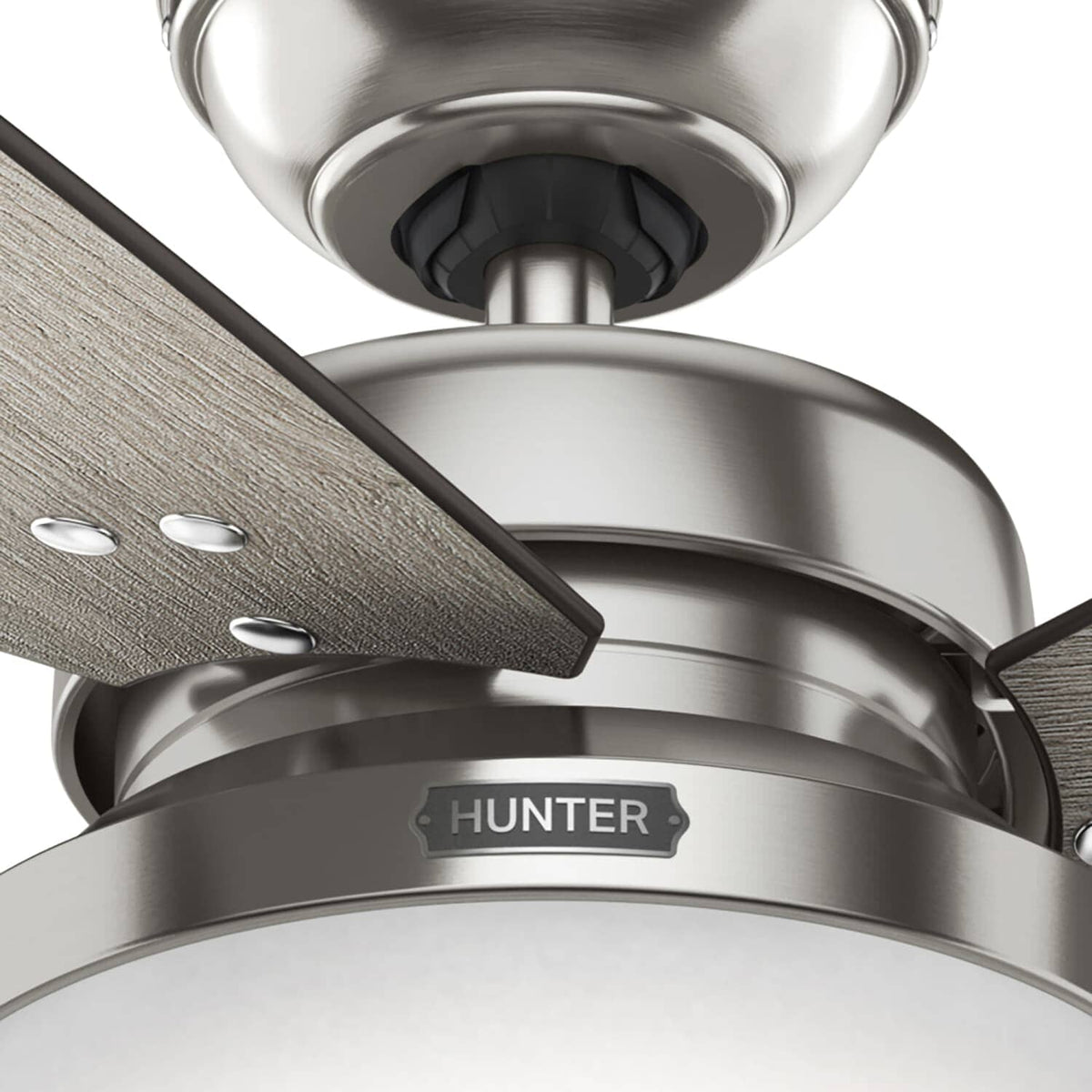 Sentinel with LED Light 52 inch