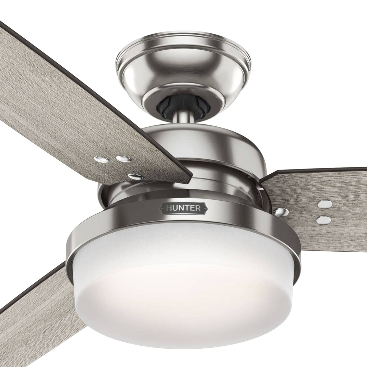 Sentinel with LED Light 52 inch
