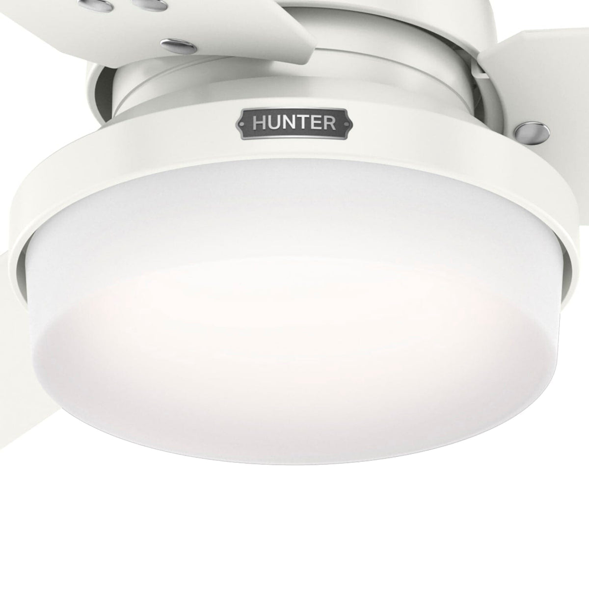 Sentinel with LED Light 52 inch