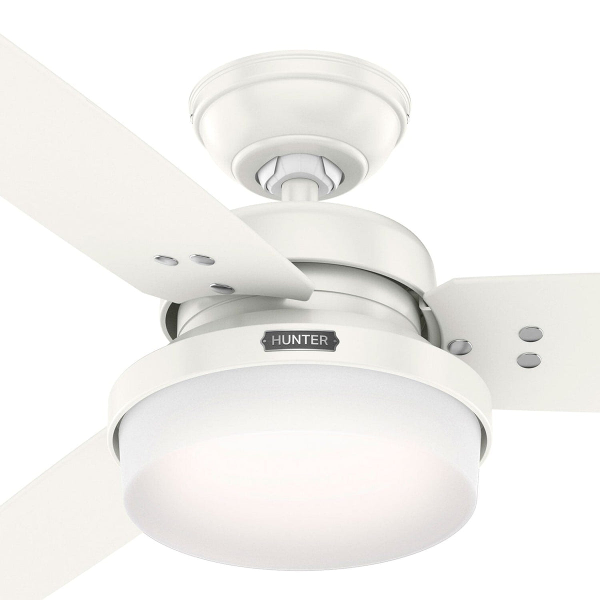 Sentinel with LED Light 52 inch