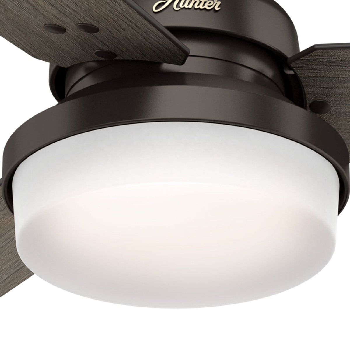 Sentinel with LED Light 52 inch