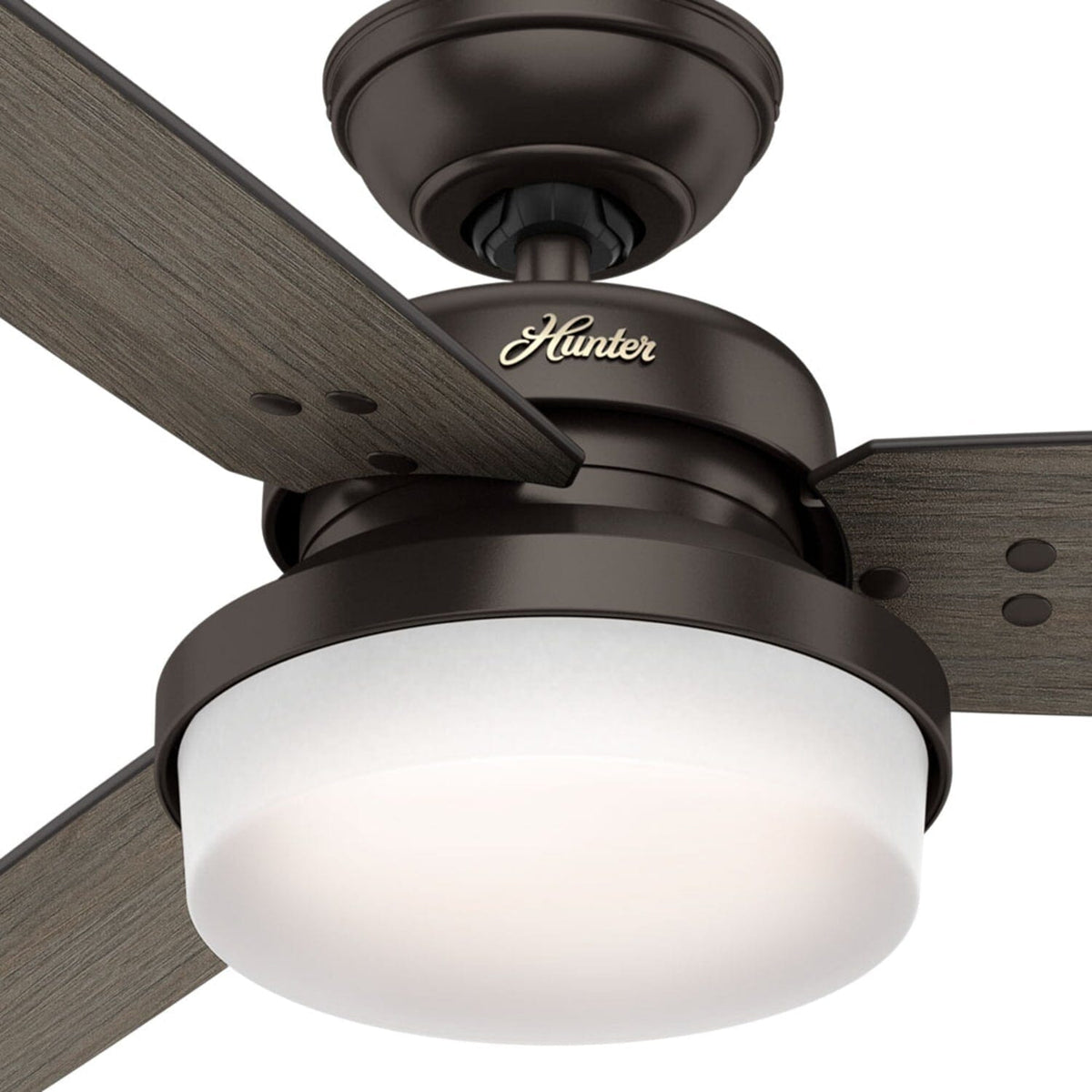 Sentinel with LED Light 52 inch