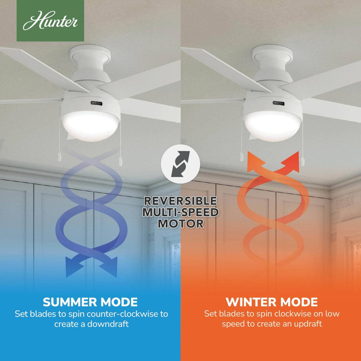 Anslee Low Profile with LED Light 46 inch