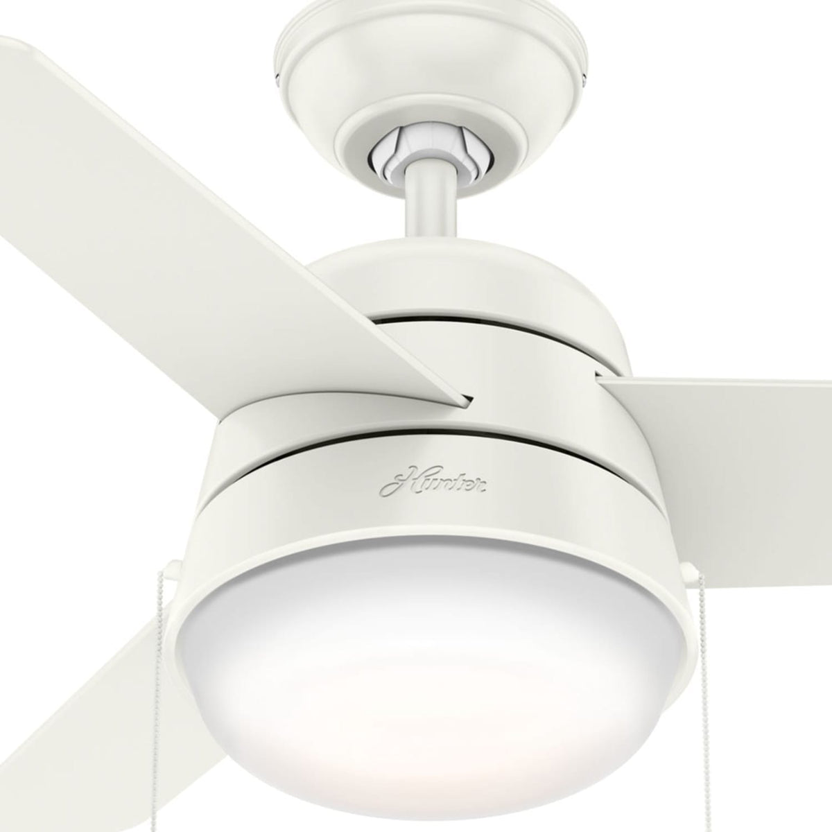Aker with LED Light 36 inch