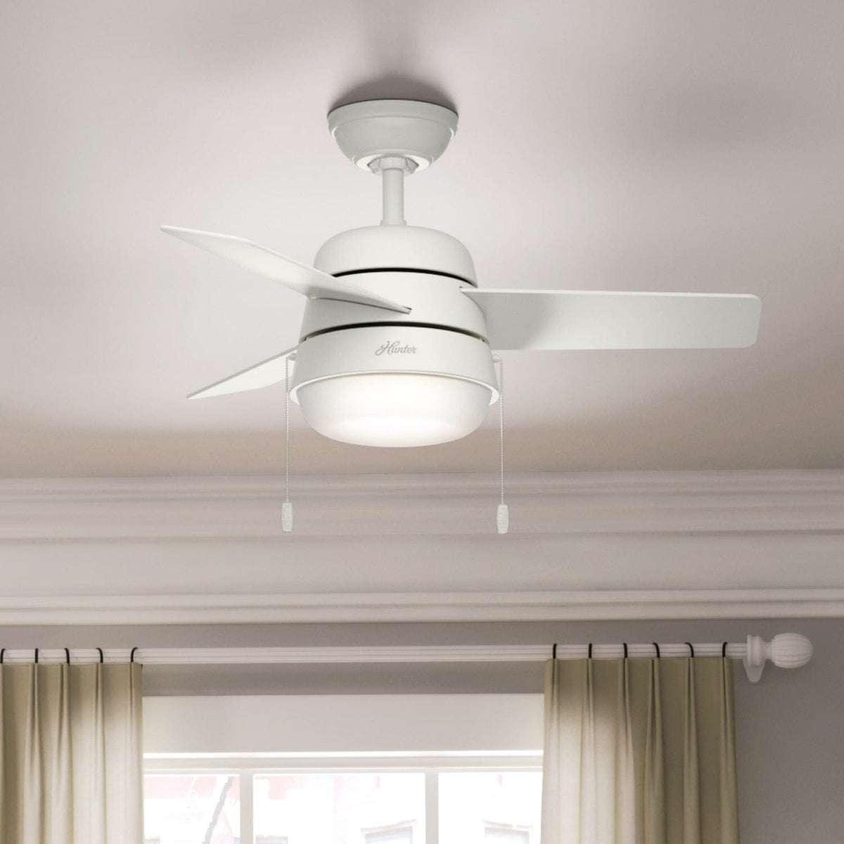 Aker with LED Light 36 inch