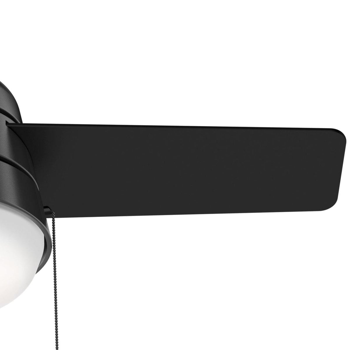 Aker with LED Light 36 inch