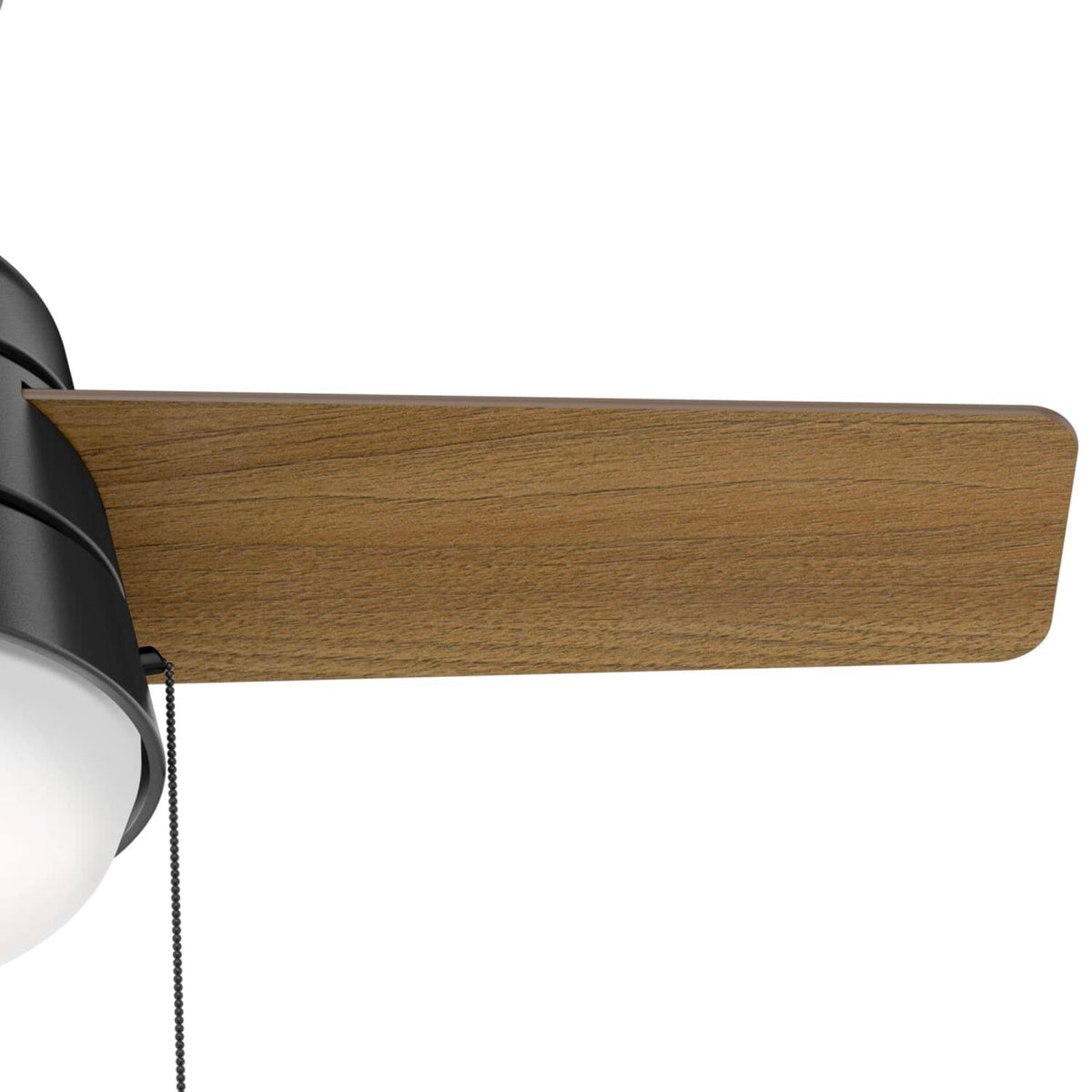 Aker with LED Light 36 inch