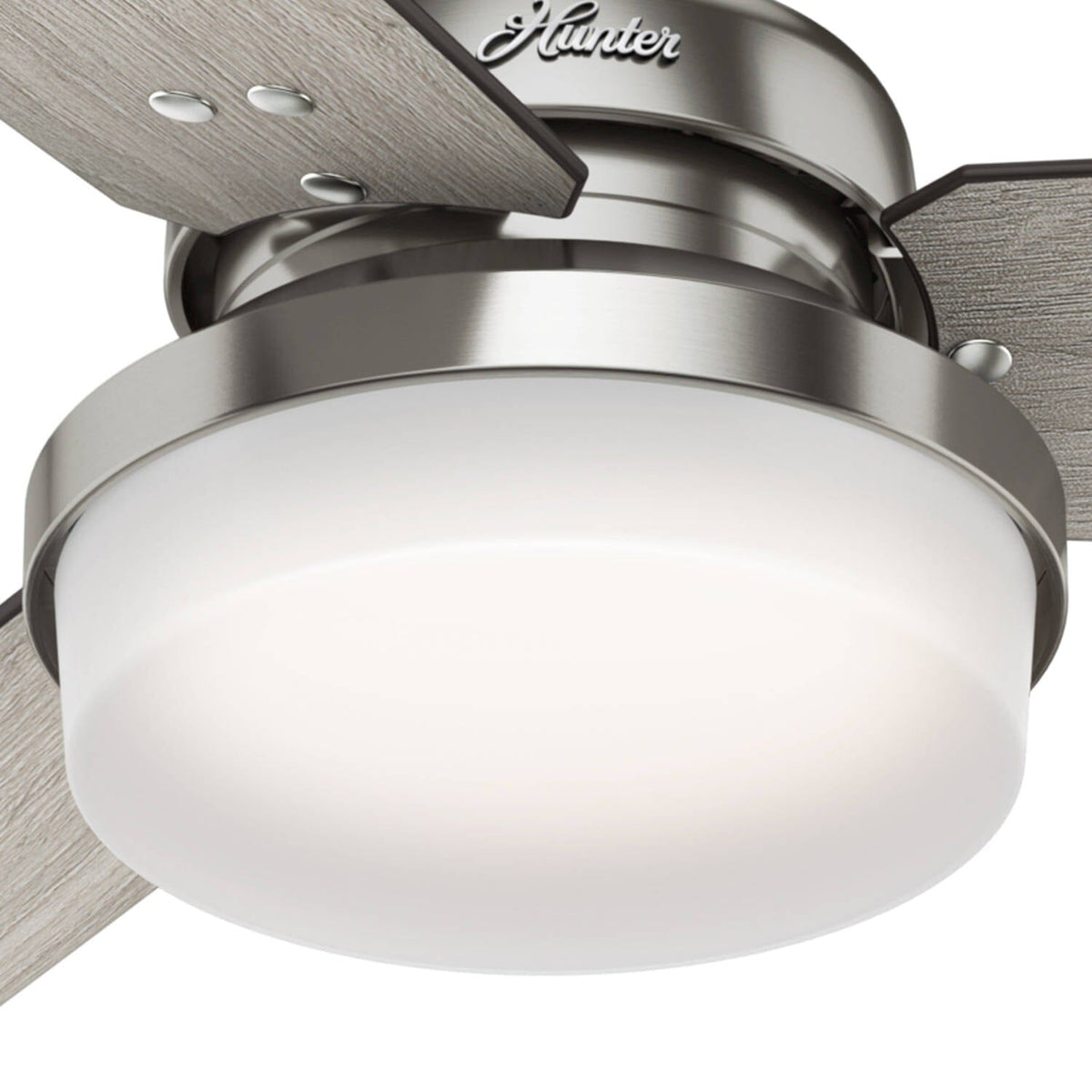 Sentinel with LED Light 60 inch