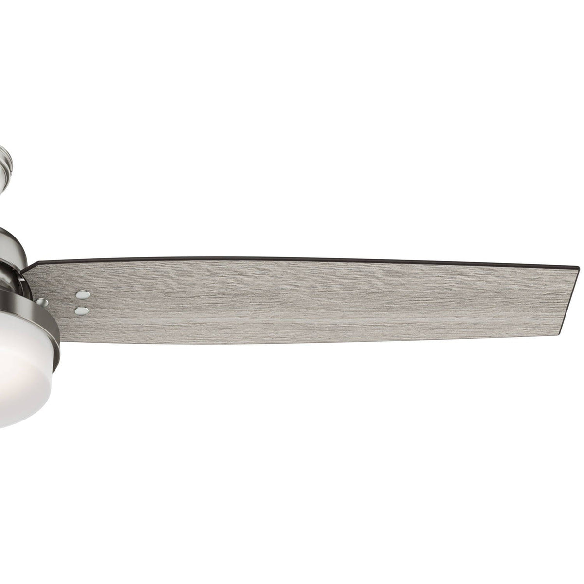 Sentinel with LED Light 60 inch