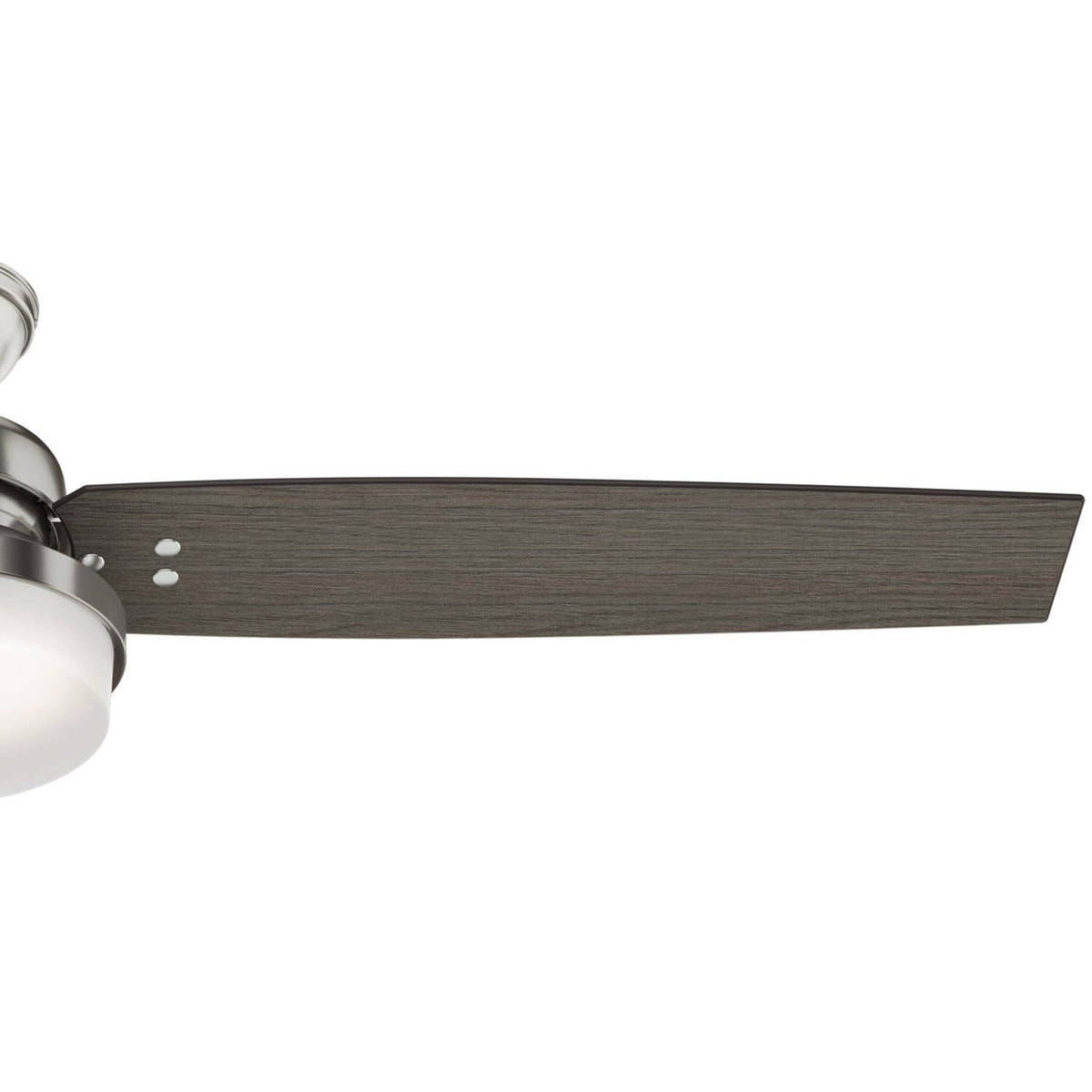 Sentinel with LED Light 60 inch
