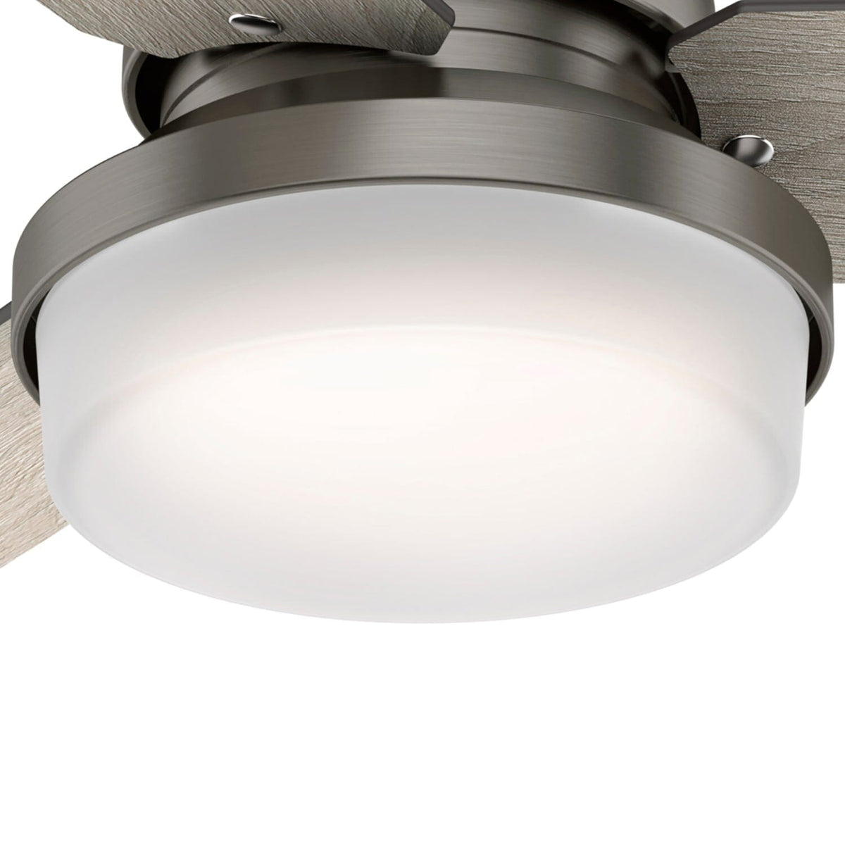 Sentinel with LED Light 44 inch