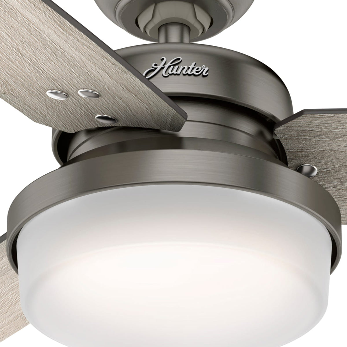 Sentinel with LED Light 44 inch