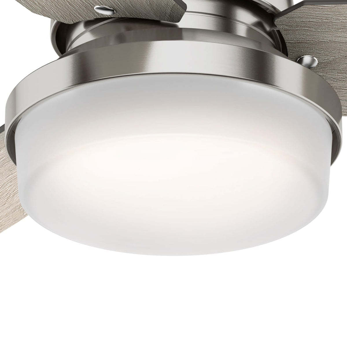 Sentinel with LED Light 44 inch