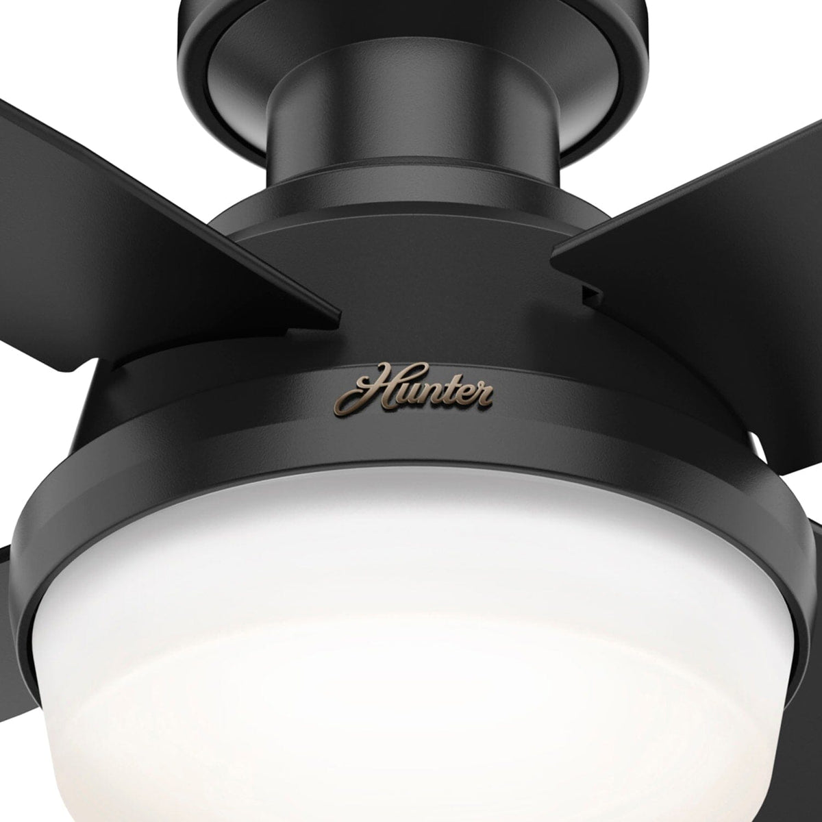 Dempsey Low Profile Outdoor with LED Light 44 inch