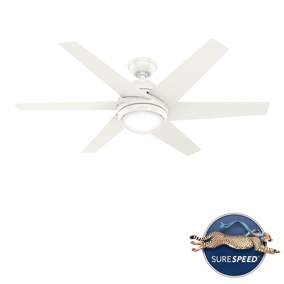 Sotto with LED Light 52 inch