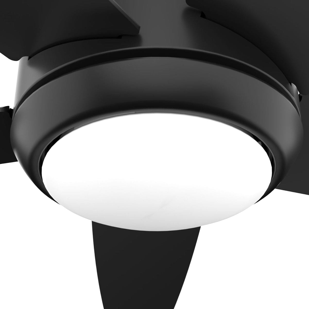 Zayden with LED Light - 52 inch