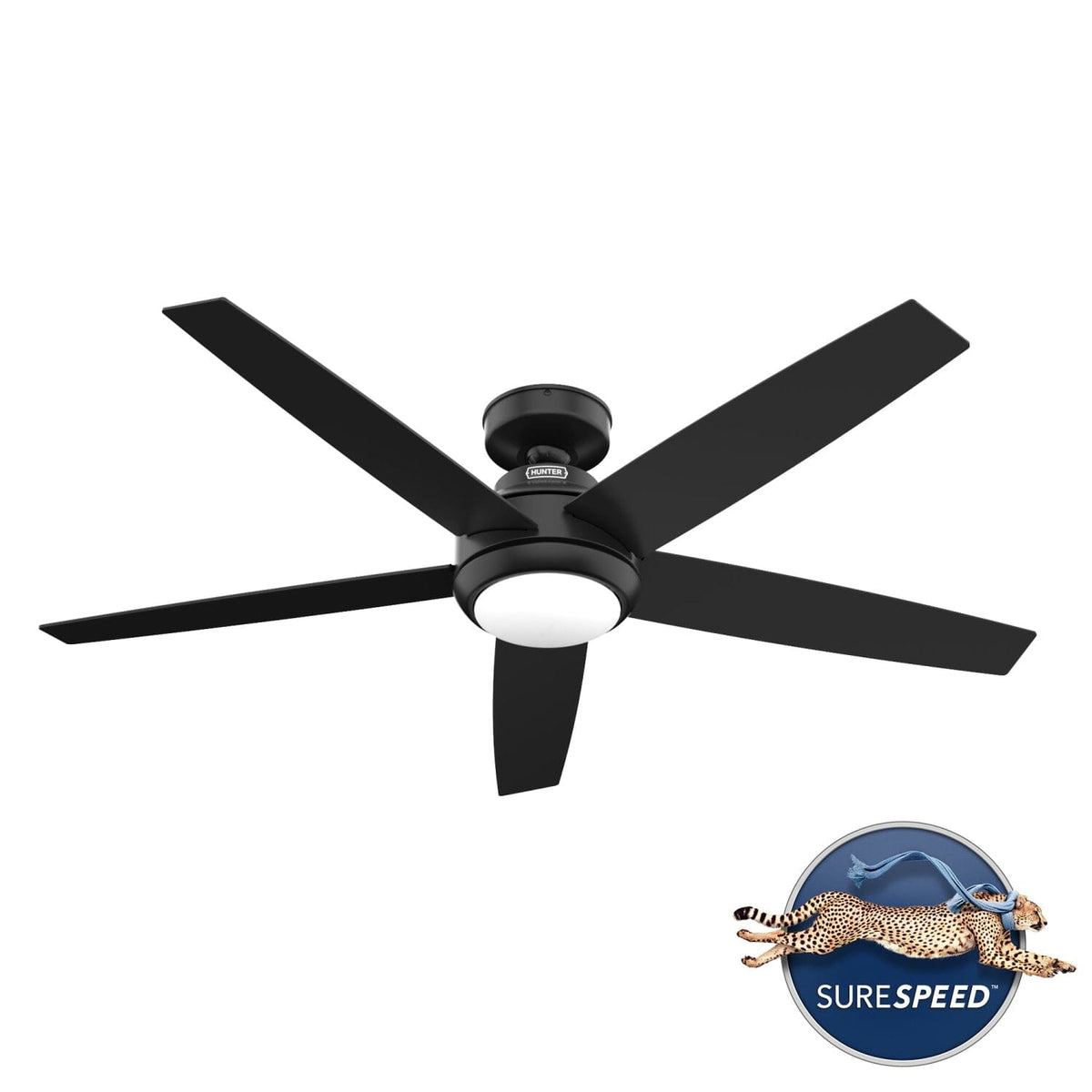 Zayden with LED Light - 52 inch