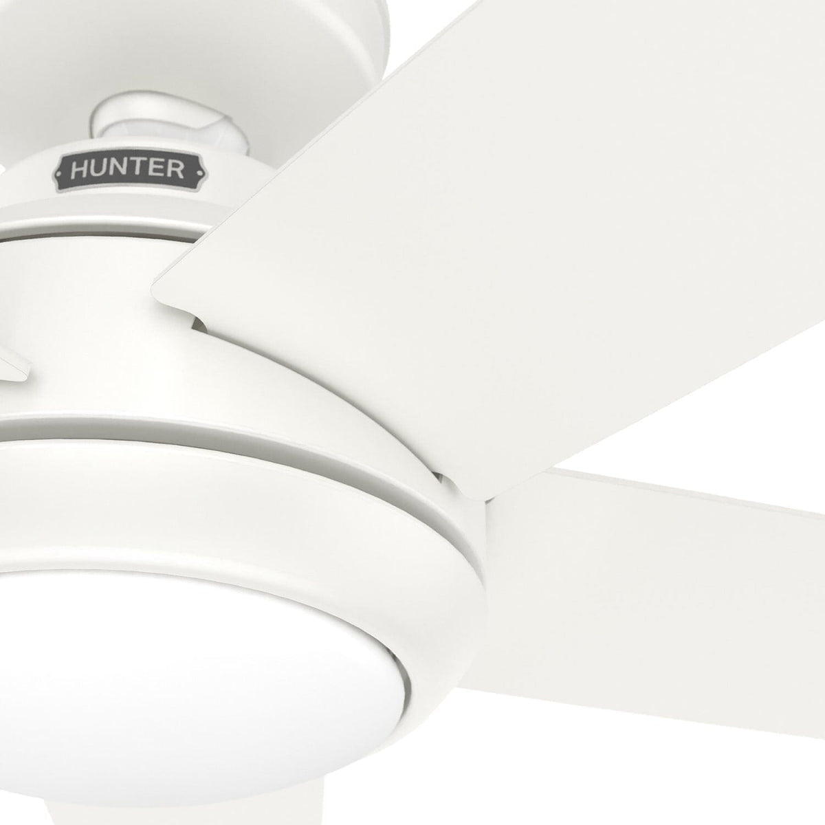 Zayden with LED Light - 52 inch